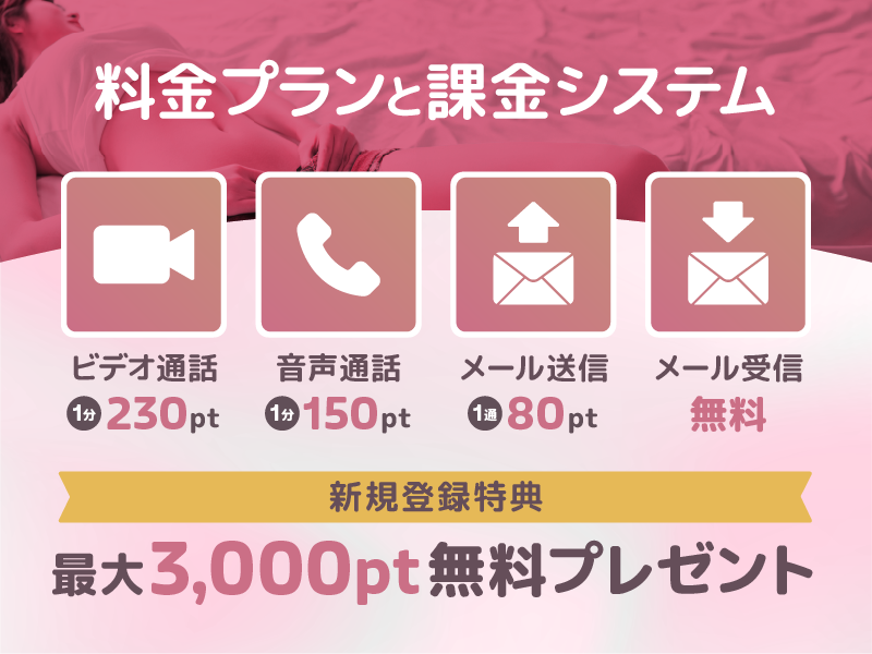 VI-VO(ビーボ)の料金プランと課金システム